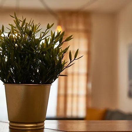 G1 - Apartament